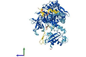 Protein Structure (PS) image for Acyl-CoA Synthetase Long-Chain Family Member 6 (ACSL6) (AA 1-697) protein (His tag) (ABIN7560028)