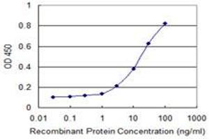 Detection limit for recombinant GST tagged IRF3 is 1 ng/ml as a capture antibody. (IRF3 antibody  (AA 1-452))