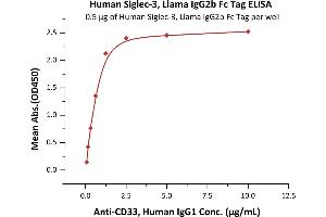 ELISA image for CD33 (CD33) (AA 18-259) (Active) protein (Fc Tag) (ABIN6253597)