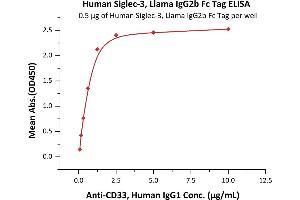 Immobilized Human Siglec-3, Llama IgG2b Fc Tag, low endotoxin (ABIN5954974,ABIN6253597) at 5 μg/mL (100 μL/well) can bind A, Human IgG1 with a linear range of 0.