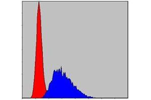 Flow cytometric analysis of NIH/3T3 cells using CASP8 mouse mAb (blue) and negative control (red). (Caspase 8 antibody)