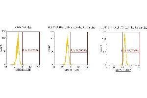 Flow Cytometry (FACS) image for anti-Carboxypeptidase E (CPE) (AA 43-476) antibody (PE) (ABIN5565197) (CPE antibody  (AA 43-476) (PE))