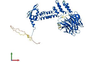 AlphaFold protein structure predicition of Mouse Recombinant Keap1 Protein, UniprotID Q9Z2X8 (KEAP1 Protein (AA 1-624) (His tag))