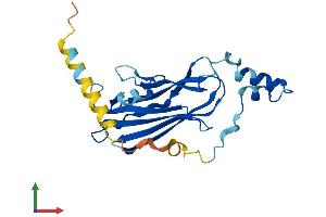 AlphaFold protein structure predicition of Human Recombinant ARHGDIG Protein, UniprotID Q99819 (ARHGDIG Protein (AA 1-225) (His tag))
