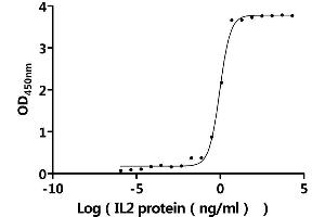 Measured by its binding ability in a functional ELISA.