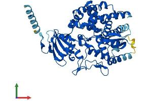 AlphaFold protein structure predicition of Human Recombinant PTGIS Protein, UniprotID Q16647