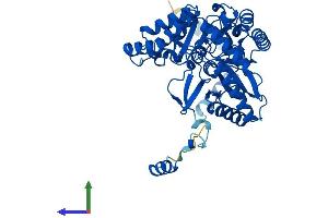 Protein Structure (PS) image for serine Palmitoyltransferase, Long Chain Base Subunit 1 (SPTLC1) (AA 1-473) protein (His tag) (ABIN7562366)