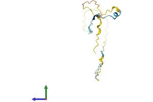 AlphaFold protein structure predicition of Mouse Recombinant Pclaf Protein, UniprotID Q9CQX4 (KIAA0101 Protein (AA 1-110) (His tag))