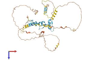 SP5 Protein (AA 1-398) (His tag)