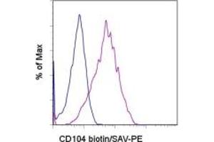 Image no. 1 for anti-Integrin beta 4 (ITGB4) antibody (Biotin) (ABIN475744) (Integrin beta 4 antibody  (Biotin))