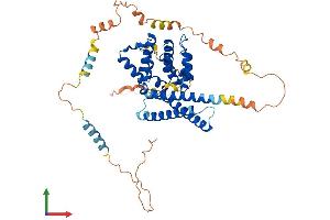 AlphaFold protein structure predicition of Mouse Recombinant Tom1 Protein, UniprotID O88746