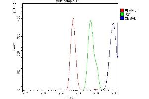 Flow Cytometry analysis of SiHa cells using anti-CEBP Delta/CEBPD antibody (ABIN7600643).