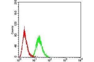 Flow cytometric analysis of Hela cells using HOXA9 mouse mAb (green) and negative control (red). (HOXA9 antibody  (AA 1-272))