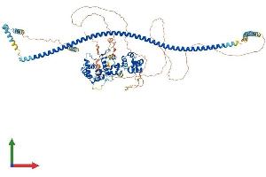AlphaFold protein structure predicition of Human Recombinant PPFIBP2 Protein, UniprotID Q8ND30