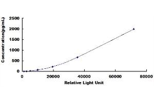 ELISA image for Epidermal Growth Factor (EGF) CLIA Kit (ABIN492073)