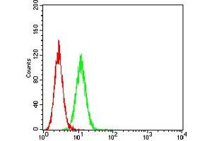 Flow cytometric analysis of Hela cells using CHRNA10 mouse mAb (green) and negative control (red). (CHRNA10 antibody  (AA 25-237))