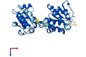 AlphaFold protein structure predicition of Human Recombinant DUSP2 Protein, UniprotID Q05923