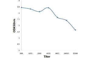 Antigen: 0. (PAGE4 antibody  (AA 45-102))