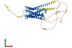 Protein Structure (PS) image for Serotonin Receptor 6 (HTR6) (AA 1-440) protein (His tag) (ABIN7556214)