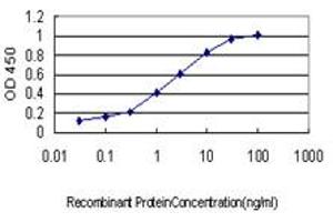 Detection limit for recombinant GST tagged TYMS is approximately 0.