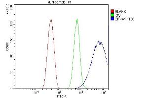 Flow Cytometry analysis of HEPA1-6 cells using anti- EIF4A1 antibody (ABIN7603143). (EIF4A1 antibody  (N-Term))