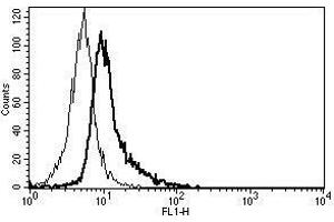 A typical staining pattern with the B-R3 monoclonal antibody of Eahy 926 cell line (CD130/gp130 antibody)