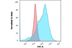Flow Cytometric Analysis of K562 cells using GLUT-1 Recombinant Rabbit Monoclonal Antibody (GLUT1/3132R) followed by goat anti-rabbit IgG-CF488 (Blue); Isotype Control (Red). (Recombinant GLUT1 antibody  (AA 203-305))