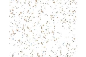 Immunocytochemistry (ICC) image for anti-CD36 (CD36) (AA 30-439) antibody (ABIN7449417) (Recombinant CD36 antibody  (AA 30-439))