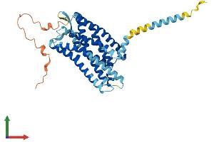 AlphaFold protein structure predicition of Human Recombinant OPRL1 Protein, UniprotID P41146 (OPRL1 Protein (AA 1-370) (His tag))