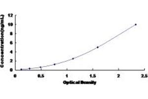 Typical standard curve (ANKRD1 ELISA Kit)