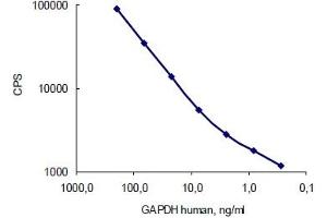 Antigen: Human GAPDH, Capture: GAPDH antibody (10R-G109a) served as a coating; Detection: GAPDH antibody (10R-G109a)  (labelled with stable Eu3+ chelate). (GAPDH antibody)