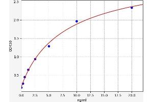 Typical standard curve (ICAM2 ELISA Kit)