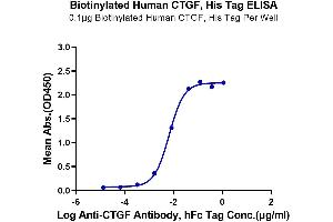 Immobilized Biotinylated Human CTGF, hFc Tag at 1 μg/mL (100 μL/well) on the plate. (CTGF Protein (AA 27-349) (His-Avi Tag,Biotin))