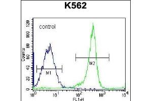 EIF3CL Antibody (N-term) (ABIN656540 and ABIN2845804) flow cytometric analysis of K562 cells (right histogram) compared to a negative control cell (left histogram). (EIF3CL antibody  (N-Term))