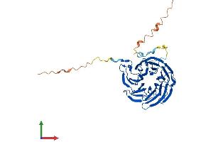 AlphaFold protein structure predicition of Human Recombinant WDR55 Protein, UniprotID Q9H6Y2
