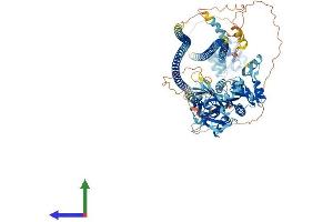 AlphaFold protein structure predicition of Human Recombinant CARD14 Protein, UniprotID Q9BXL6 (CARD14 Protein (AA 1-1004) (His tag))