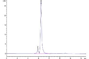 The purity of Human ILDR2 is greater than 92 % as determined by SEC-HPLC.