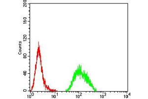 Flow cytometric analysis of Hela cells using APC2 mouse mAb (green) and negative control (red). (APC2 antibody  (AA 2041-2181))