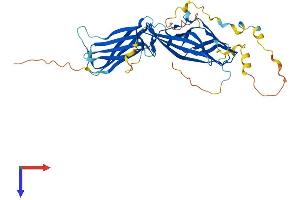 Arrestin Domain Containing 4 (ARRDC4) (AA 1-418) protein (His tag)