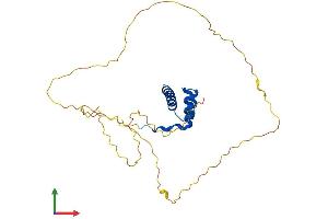 Protein Structure (PS) image for Homeobox D12 (HOXD12) (AA 1-268) protein (His tag) (ABIN7562987)