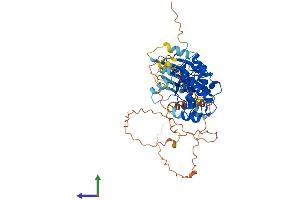 Protein Structure (PS) image for Calcium/calmodulin-Dependent Protein Kinase IG (CAMK1G) (AA 1-476) protein (His tag) (ABIN7548703)