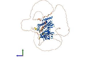 AlphaFold protein structure predicition of Mouse Recombinant Haspin Protein, UniprotID Q9Z0R0 (GSG2 Protein (AA 1-754) (His tag))
