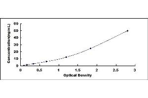 Orosomucoid 2 ELISA Kit