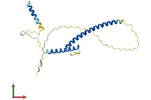 AlphaFold protein structure predicition of Human Recombinant MXD4 Protein, UniprotID Q14582 (MXD4 Protein (AA 1-209) (His tag))