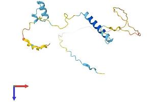 KIFAP3 Protein (AA 1-181) (His tag)