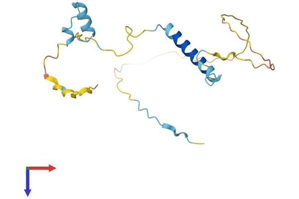 KIFAP3 Protein (AA 1-181) (His tag)