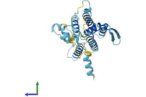 AlphaFold protein structure predicition of Mouse Recombinant Derl2 Protein, UniprotID Q8BNI4