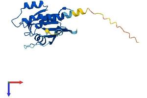 AlphaFold protein structure predicition of Human Recombinant RAB29 Protein, UniprotID O14966