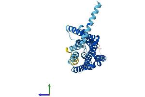 AlphaFold protein structure predicition of Human Recombinant OR7C2 Protein, UniprotID O60412