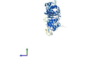 Protein Structure (PS) image for Tubulin Folding Cofactor E-Like (TBCEL) (AA 1-424) protein (His tag) (ABIN7544294)